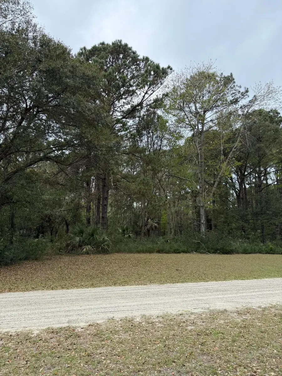 49 Seaside Lane, Edisto Island, SC 29438 - #3