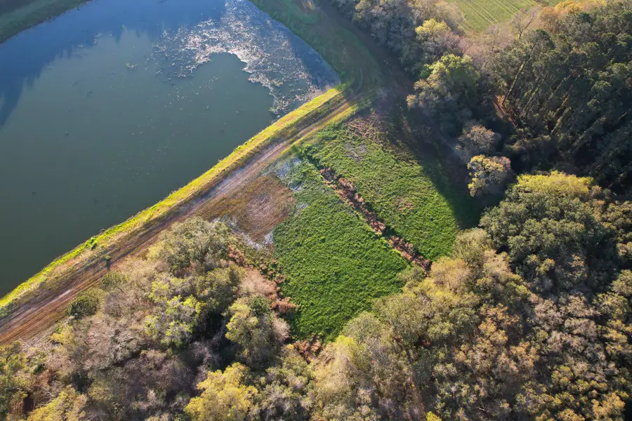 3170 Contentment Hall Road, Johns Island, SC 29455 - #2