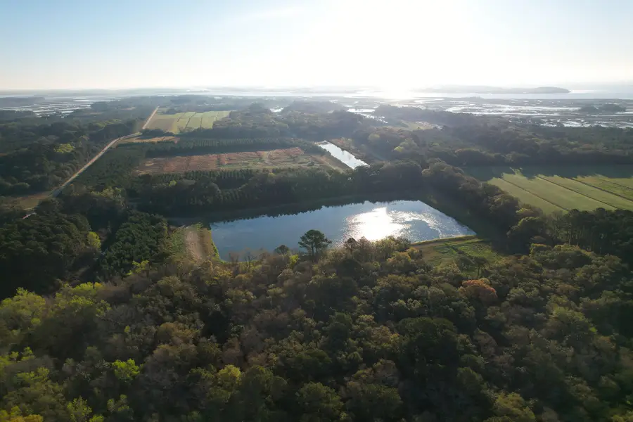 3170 Contentment Hall Road, Johns Island, SC 29455 - #3