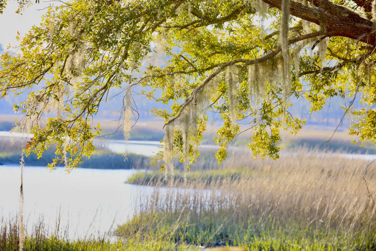 4559 Smoak Road, Meggett, SC 29449 - #1