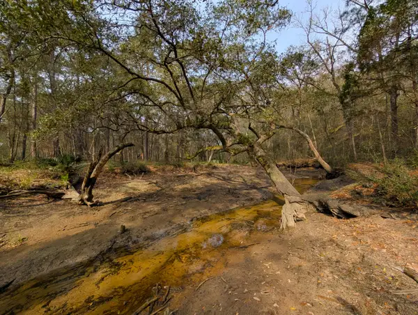 245 Warren Drive, McClellanville, SC 29458