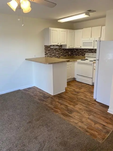 471 Reid Street, Orangeburg, SC 29115 - #3