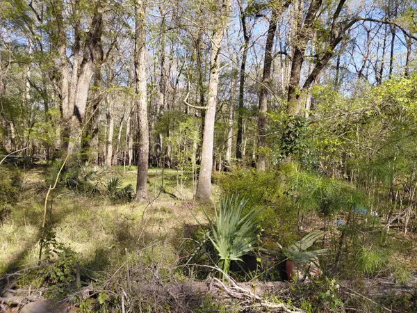 Lot 2 & 3 Gator Cv, Ridgeville, SC 29472