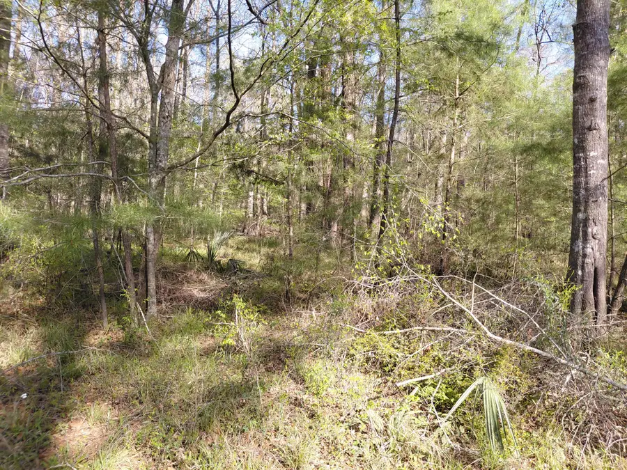 Lot 2 & 3 Gator Cv, Ridgeville, SC 29472 - #2