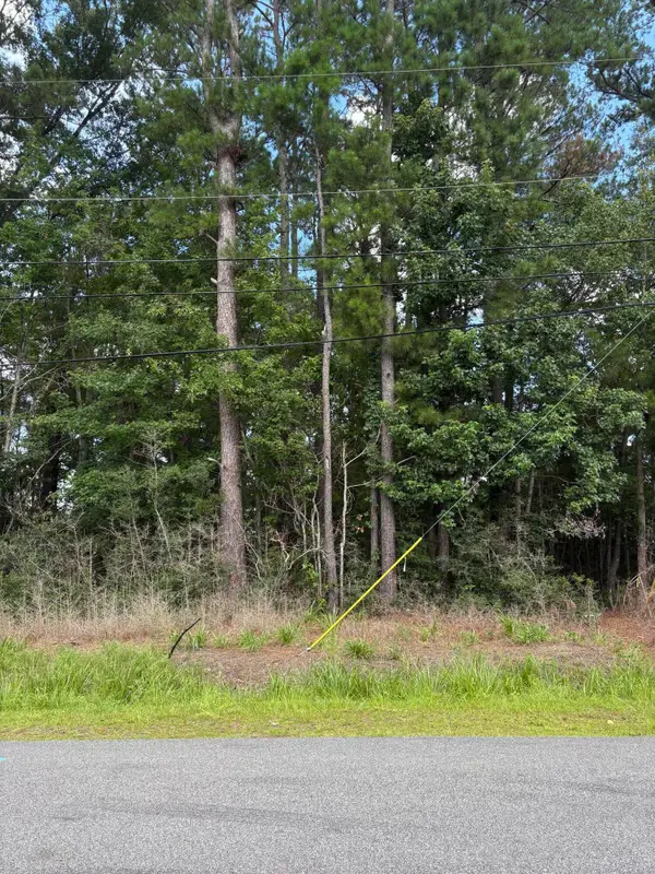 0 University Drive #Lot 185, North Charleston, SC 29418