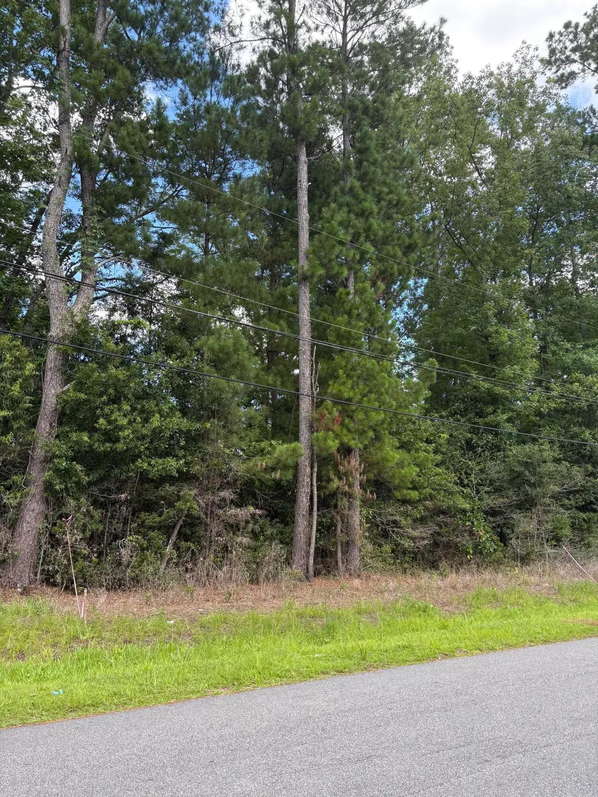 0 University Drive #Lot 187, North Charleston, SC 29418 - #1