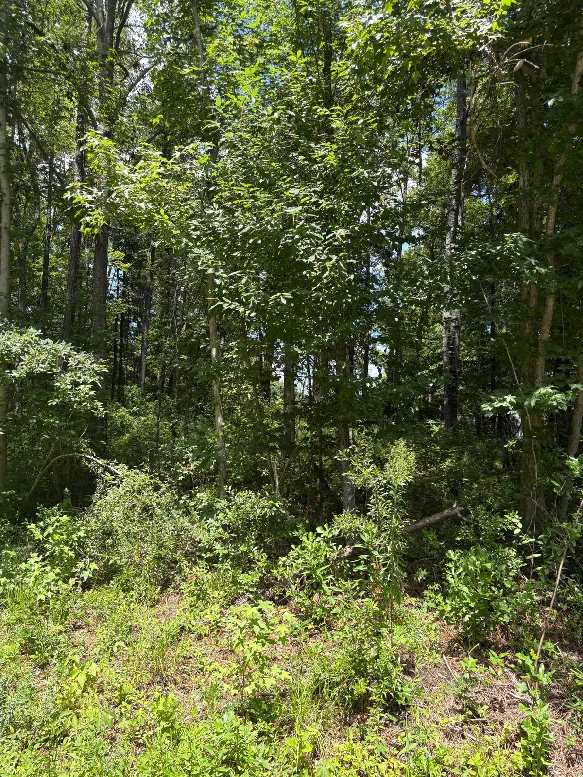 0 University Drive #Lot 224, North Charleston, SC 29418 - #1