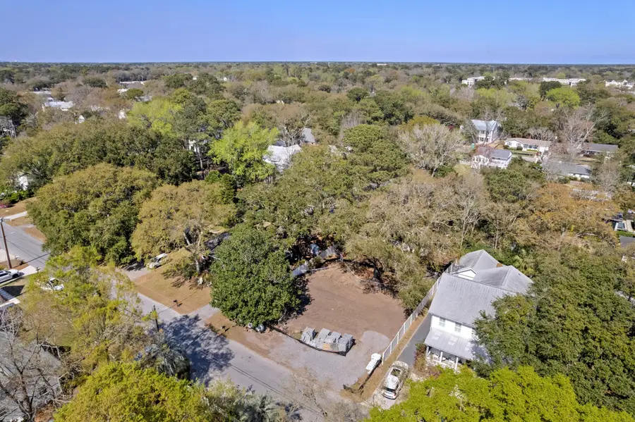 1428 Goblet Avenue, Mount Pleasant, SC 29464 - #2