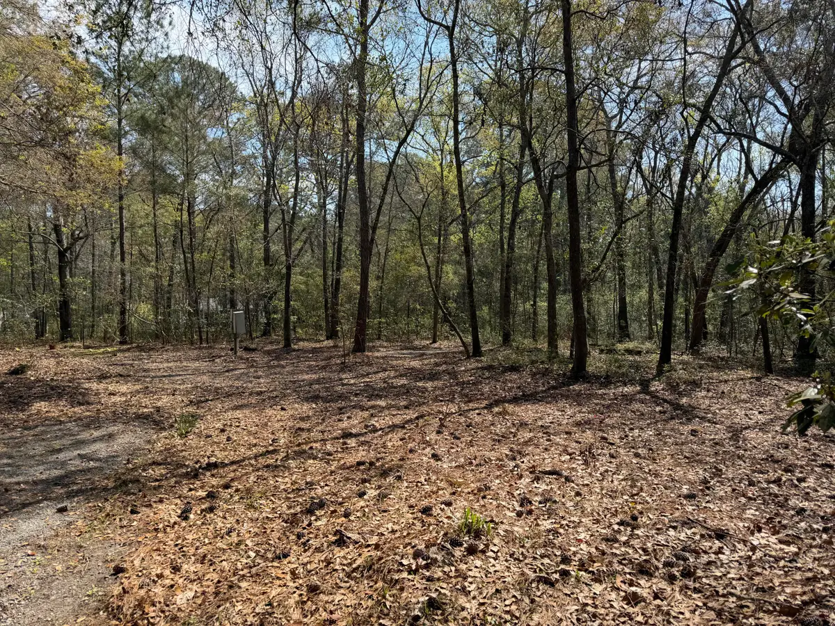 6321 Bears Bluff Road, Wadmalaw Island, SC 29487 - #1
