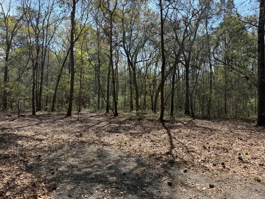 6321 Bears Bluff Road, Wadmalaw Island, SC 29487 - #3