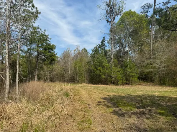 0 Getaway Lane, Pinopolis, SC 29469