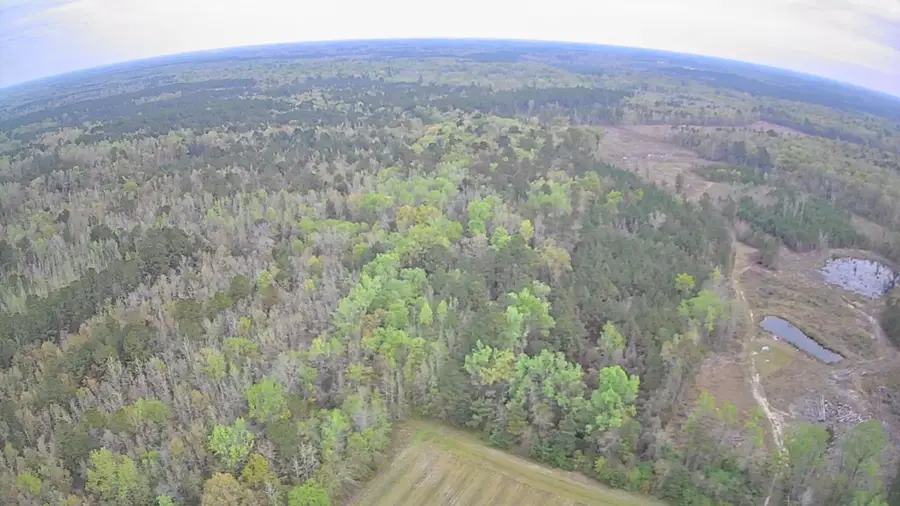 7753 Augusta Highway, Smoaks, SC 29481 - #3