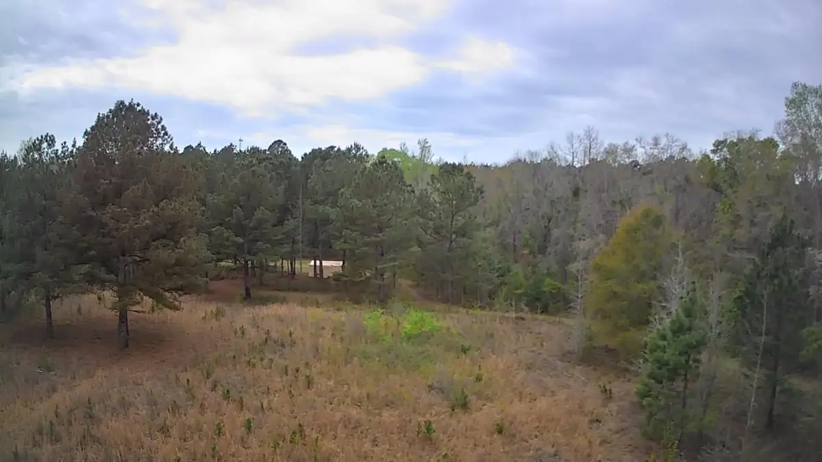 Tbd Salcro Lane Interior Parcel Highway, Smoaks, SC 29481 - #1