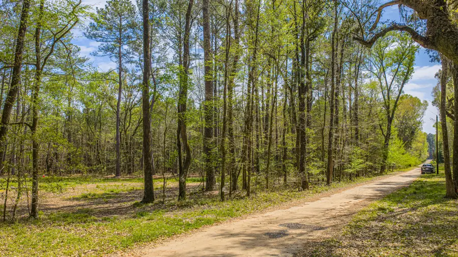 0 Busters Paradise Lane, Cordesville, SC 29434 - #3