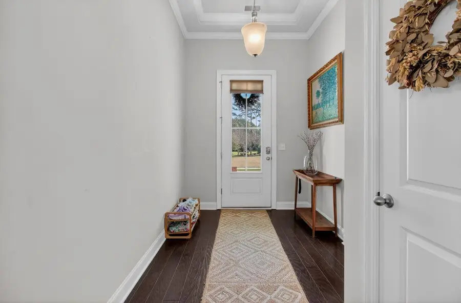 377 Turnstone Street, Mount Pleasant, SC 29464 - #3