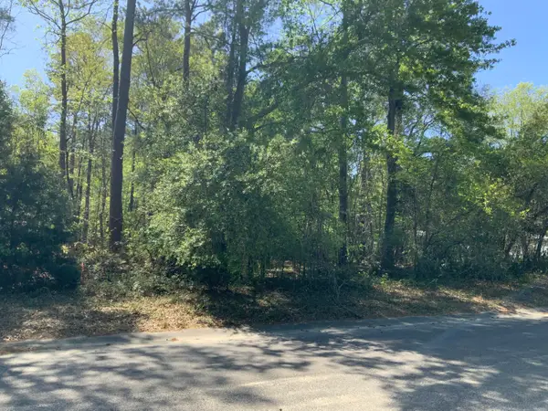 0 Ash Hill Drive, Eutawville, SC 29048