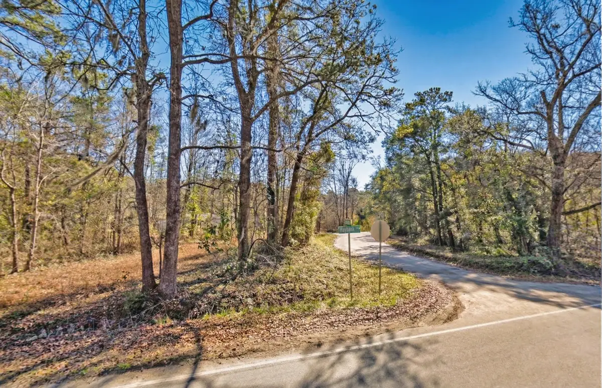 6825 Maybank Highway, Wadmalaw Island, SC 29487 - #1