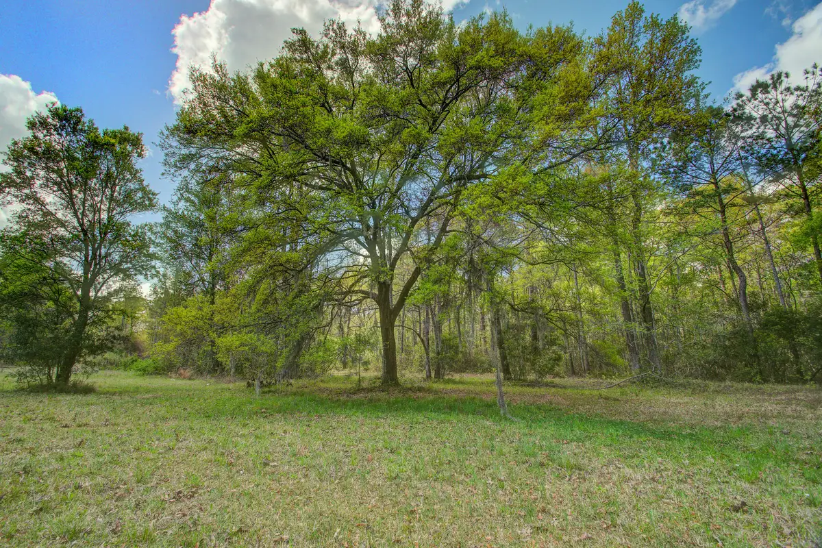 5865 Octavia, Ravenel, SC 29470 - #1