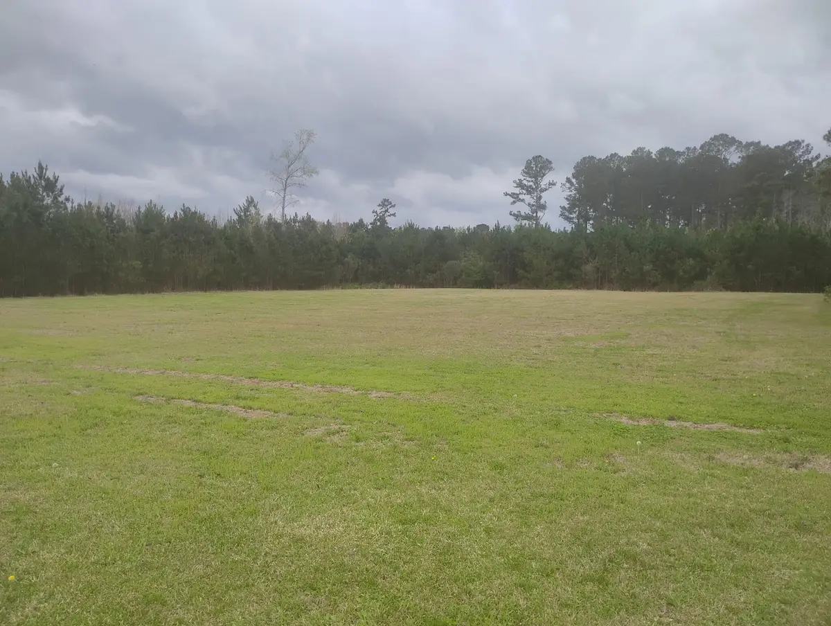 02 Davis Terrace, Saint George, SC 29477 - #1