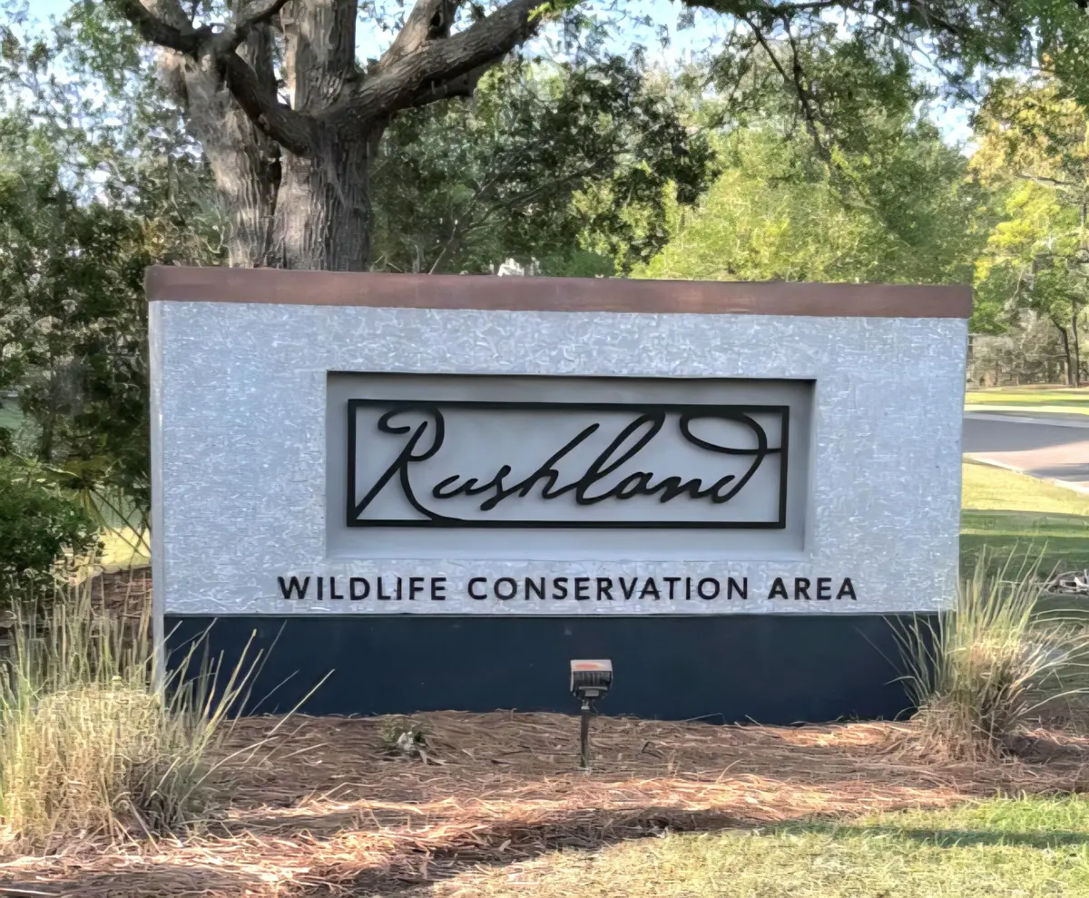 1307 Chardon Commons, Johns Island, SC 29455 - #1