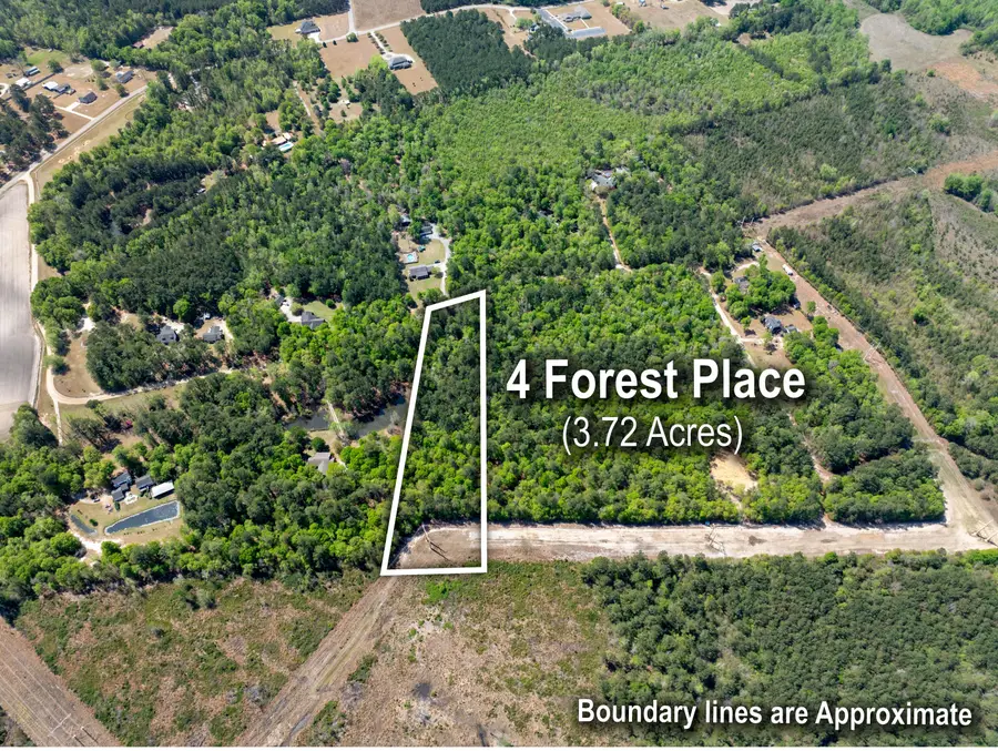 4 Forest Place, Marion, SC 29571 - #3