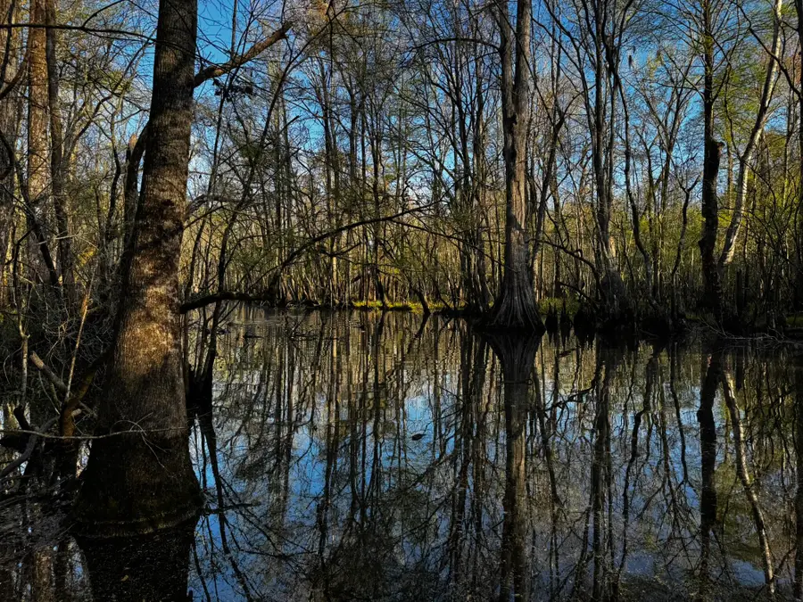 0 Beech Hill Road, Summerville, SC 29485 - #3