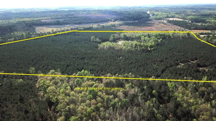 305 Ponderosa Road, Saint Matthews, SC 29135 - #2
