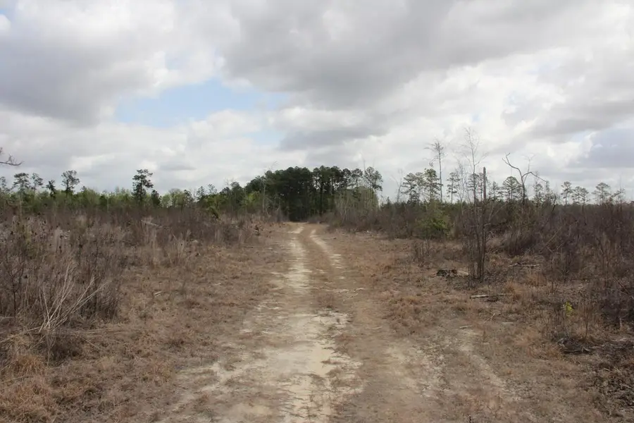 00 Ponderosa Road, Saint Matthews, SC 29135 - #3