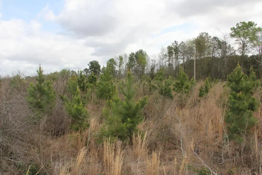 0 Riley Road, Saint Matthews, SC 29135 - #2