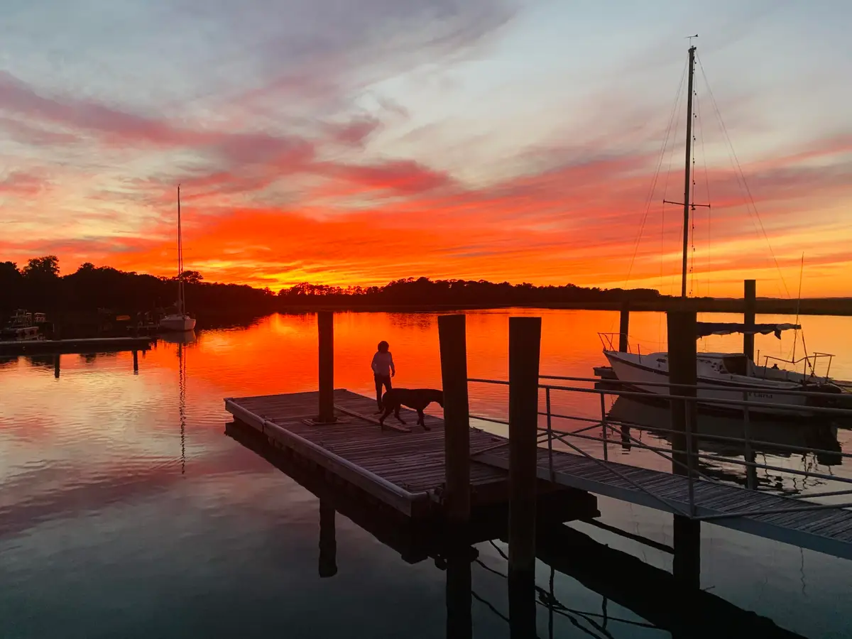 Lot 9 Hopkins Place Drive #Lot 9, Edisto Island, SC 29438 - #1