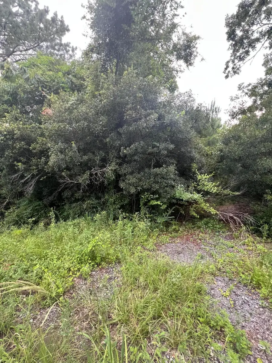 45 Partridge Road, Kingstree, SC 29556 - #2