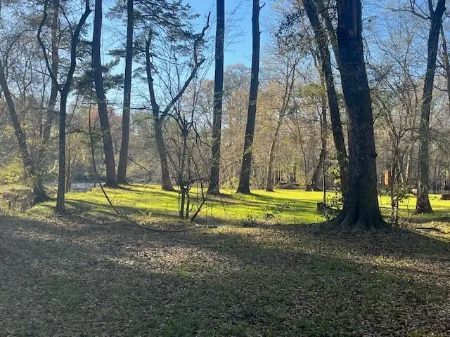 51 Mendel Court, Round O, SC 29474 - #2