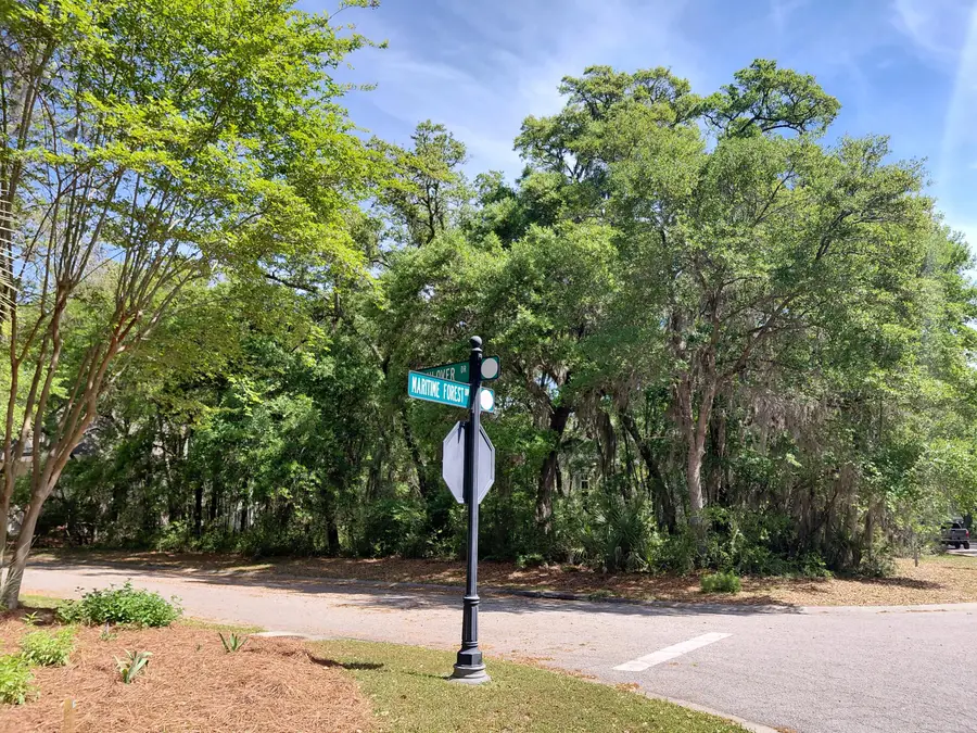 3003 Maritime Forest Drive, Johns Island, SC 29455 - #3
