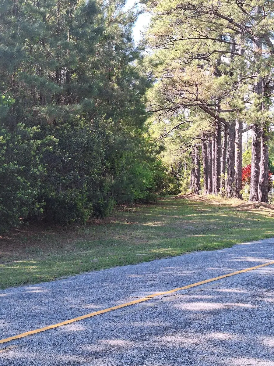 0 Lebanon Road, Ridgeville, SC 29472 - #3