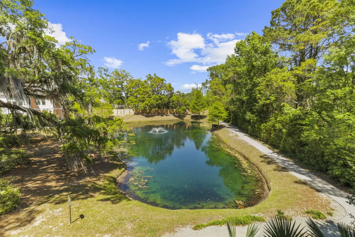 1925 Chatelain Way, Mount Pleasant, SC 29464 - #1