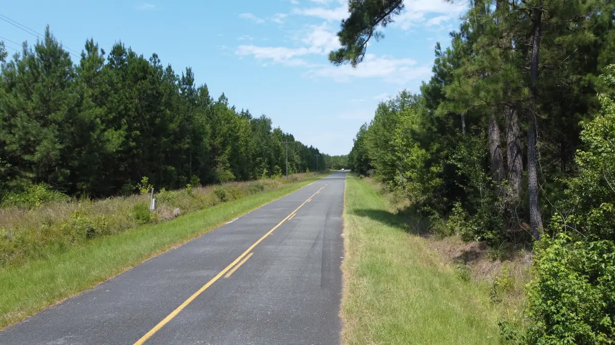 1 Farmington Road, Gable, SC 29051 - #1