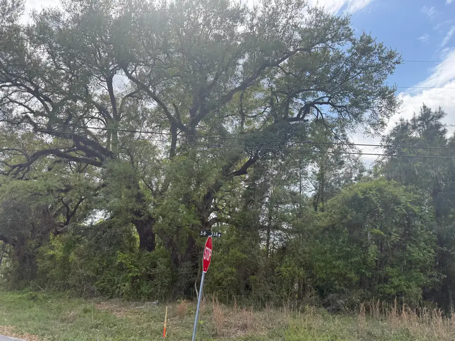 0 Old Back River Road Road, Goose Creek, SC 29445 - #3