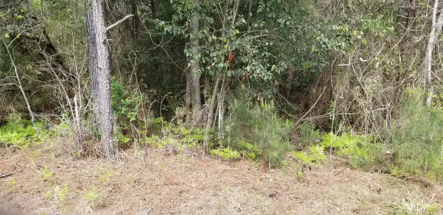 00 Randolph Drive, Smoaks, SC 29481 - #2