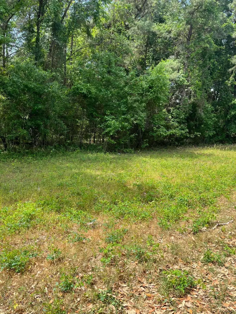 00 S Michelle Street, Eutawville, SC 29048 - #2