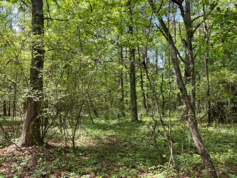 00 S Michelle Street, Eutawville, SC 29048 - #3