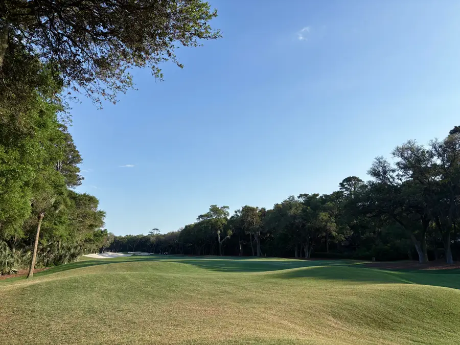 386 Green Winged Teal Road, Kiawah Island, SC 29455 - #3