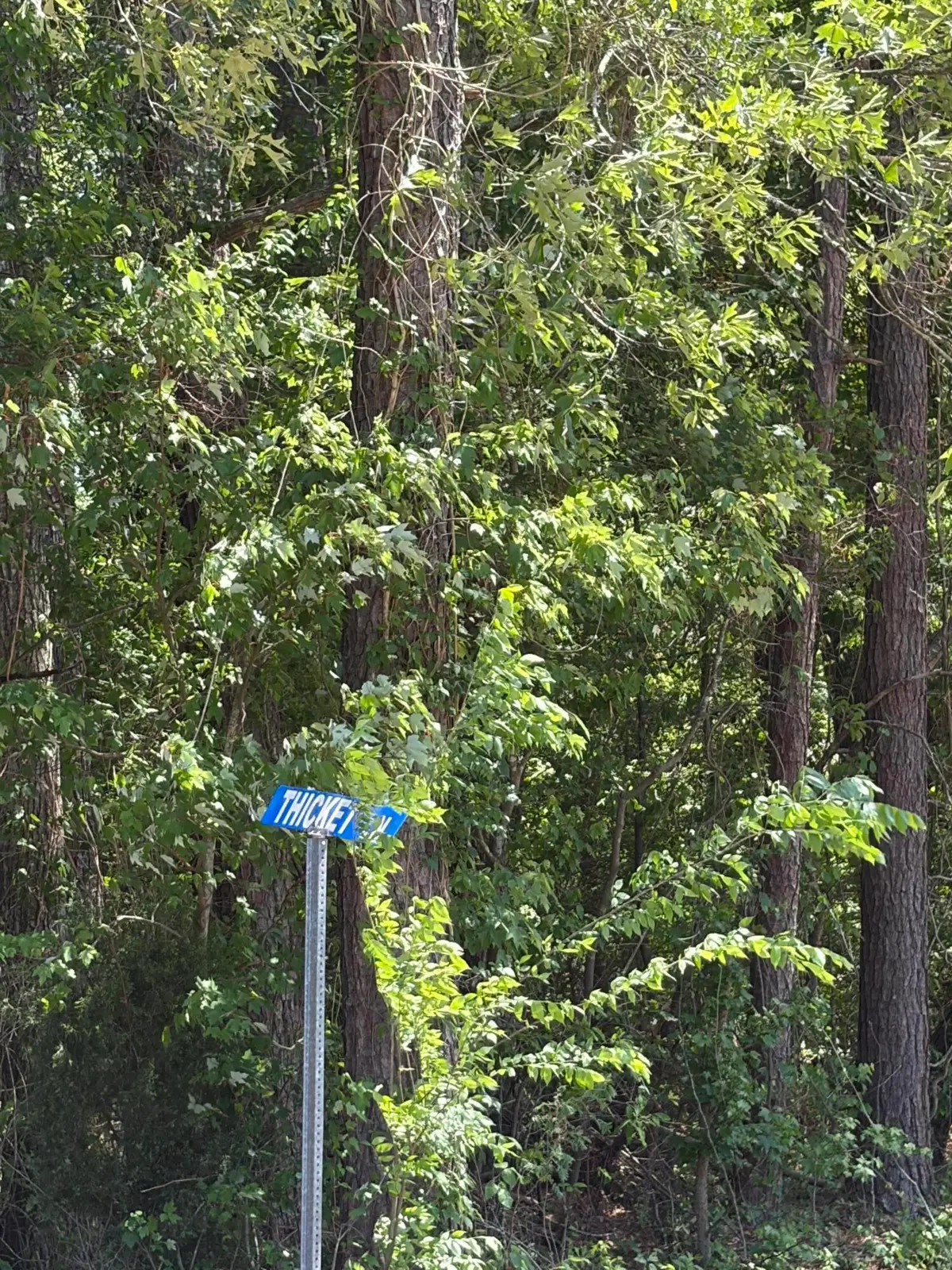 0 Thicket Lane, Saint Stephen, SC 29479 - #1