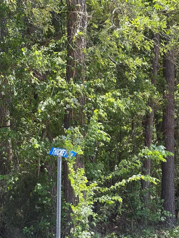 0 Thicket Lane, Saint Stephen, SC 29479