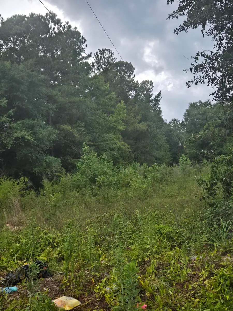 Lot 2 Rodenberry Road, Cross, SC 29436 - #2