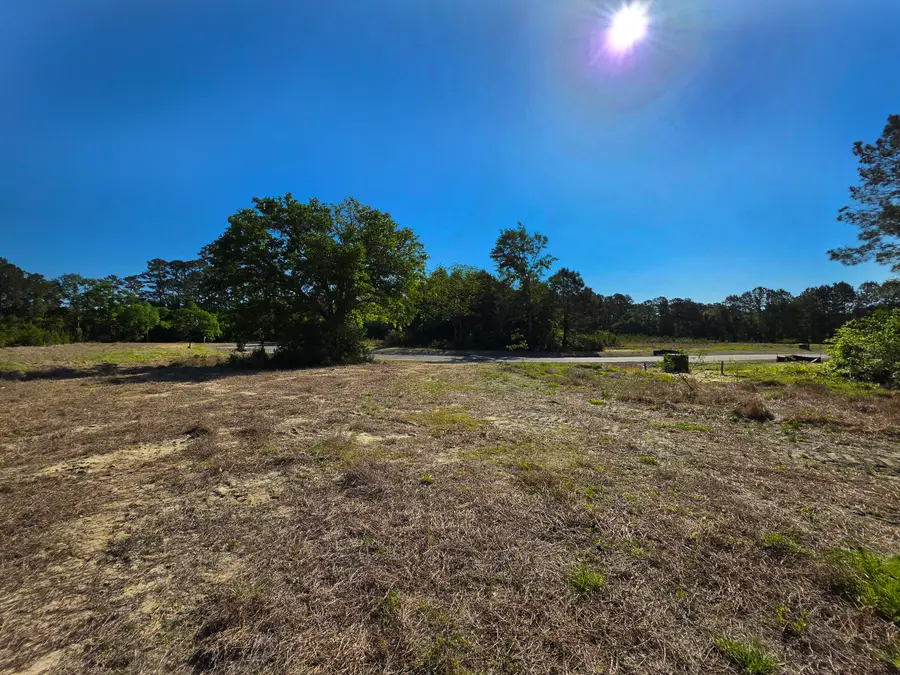 3 Harvest Moon Lane, McClellanville, SC 29458 - #3