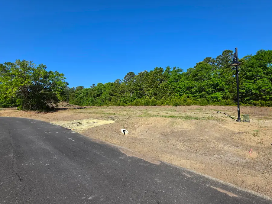2 Harvest Moon Lane, McClellanville, SC 29458 - #2