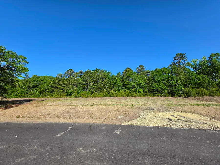 2 Harvest Moon Lane, McClellanville, SC 29458 - #3