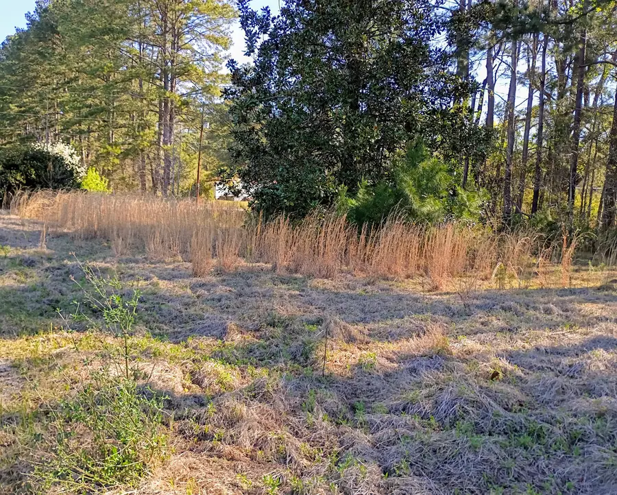 67 Cone Court, Cottageville, SC 29435 - #2