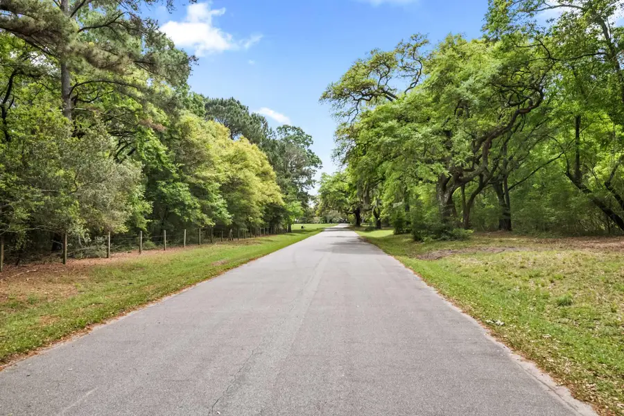 1 Frisco Lane, Johns Island, SC 29455 - #2