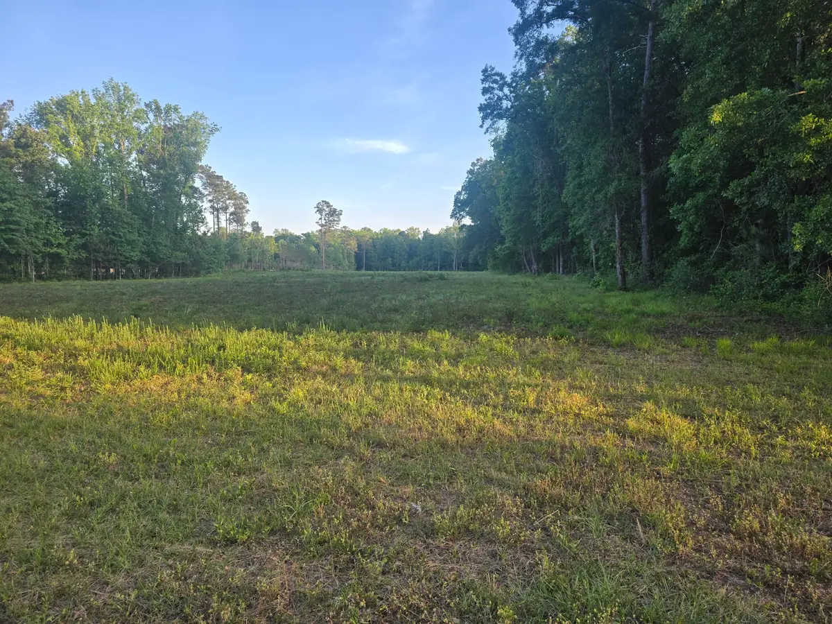 00 Central Avenue, Summerville, SC 29483 - #1